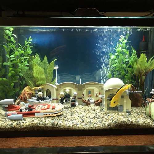 Home Aquarium Maintenance