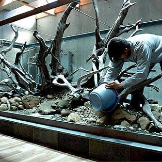 fish tank cleaner service