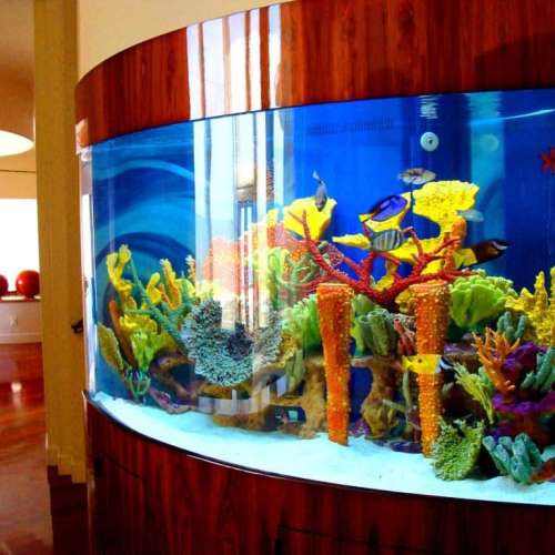 Office Aquarium Maintenance