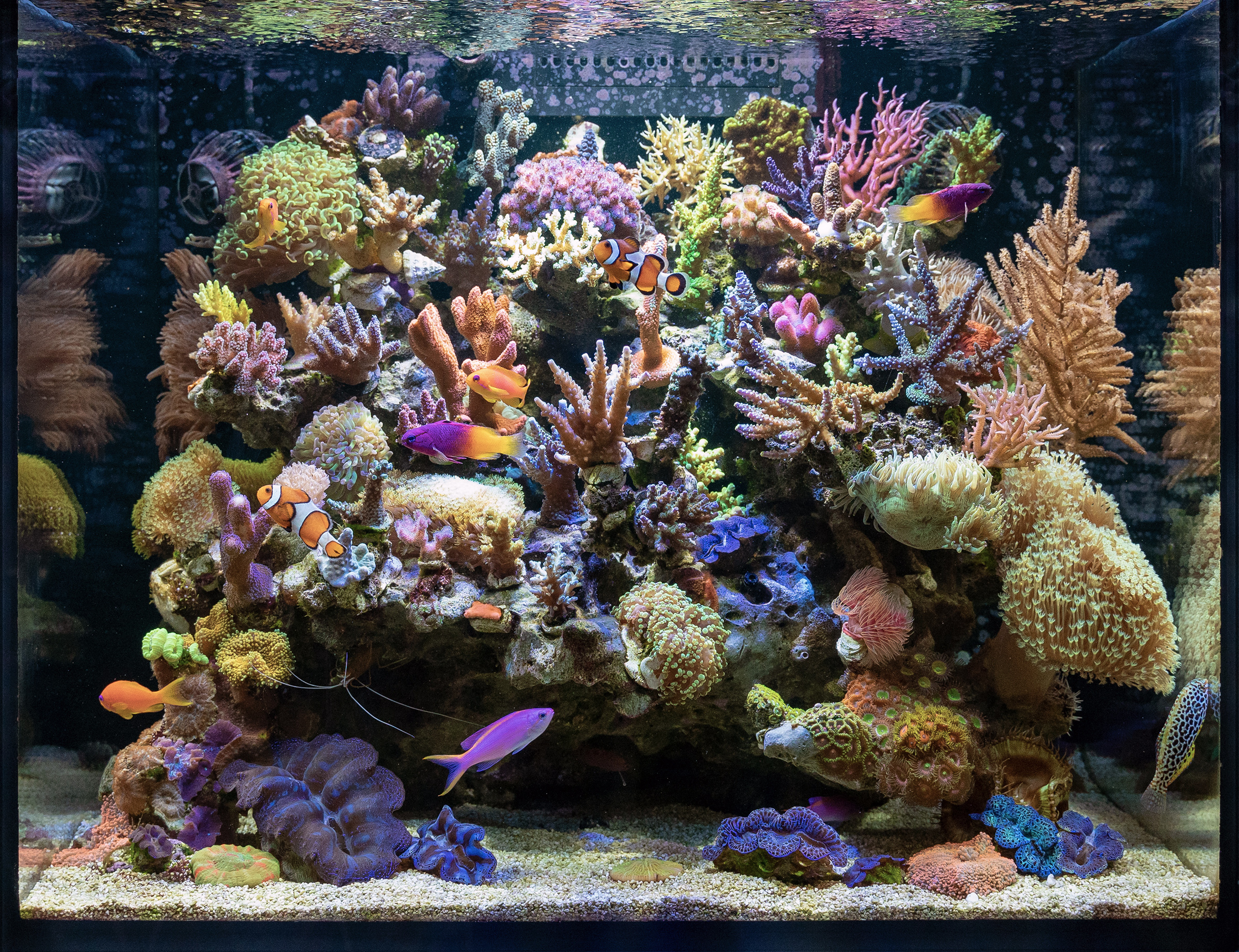 Installation Location