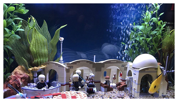 in home aquarium services