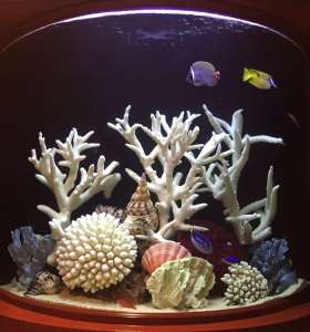 aquarium services aquarium services