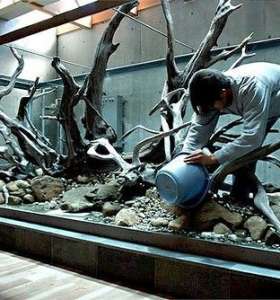 fish tank cleaner service fish tank cleaner service