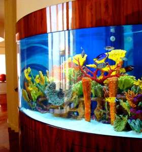 fish tank cleaning service fish tank cleaning service