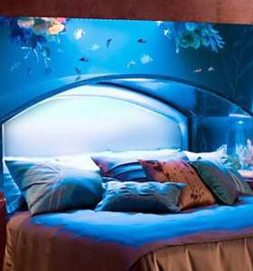 fish tank service fish tank service