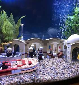 in home aquarium services in home aquarium services